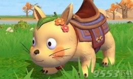 龙猫娱乐大爆料,揭秘幕后故事与精彩瞬间